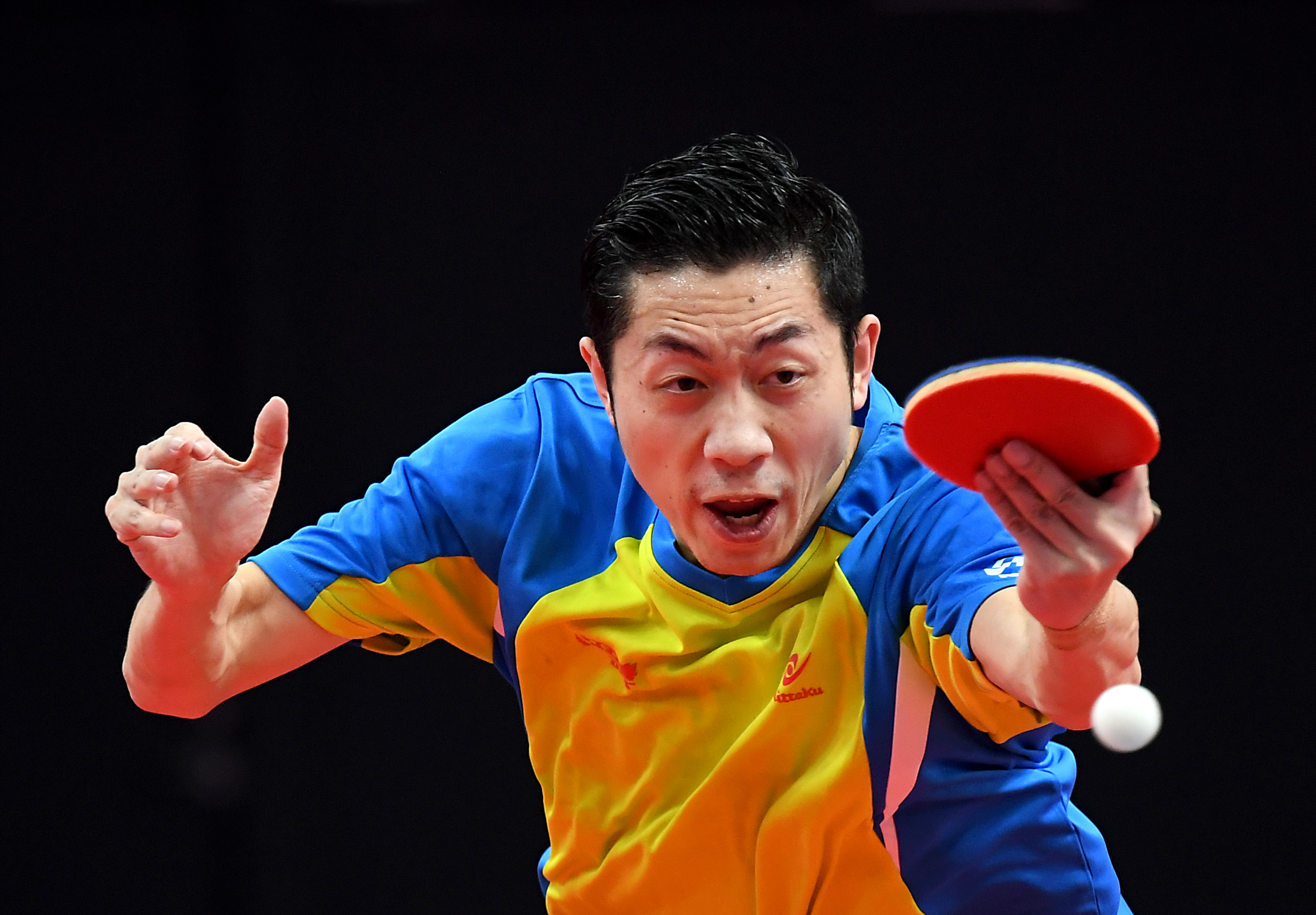 包含比利时乒乓球队强势瑞典乒乓球队,许昕高光表现的词条 包含比利时乒乓球队强势瑞典乒乓球队,许昕高光表现的词条