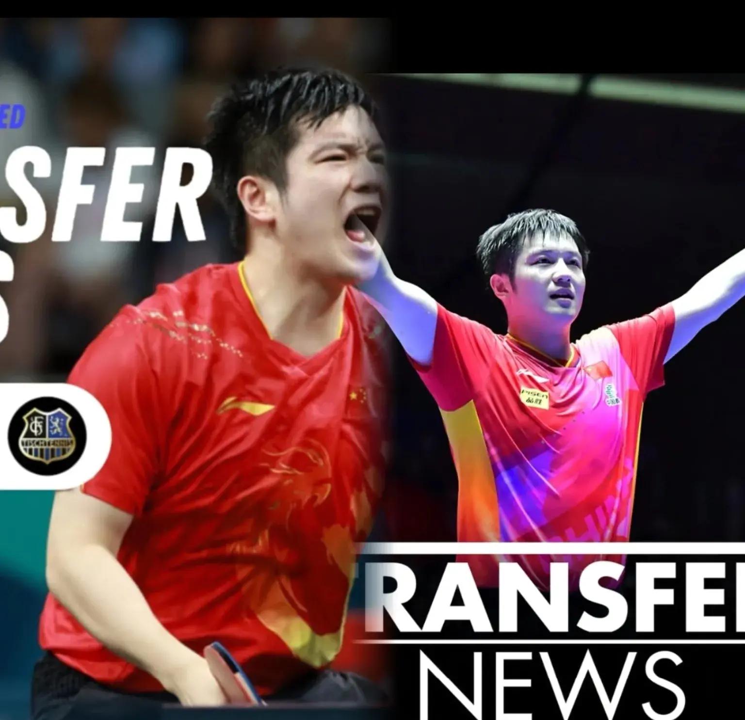 波兰乒乓球队完胜韩国乒乓球队,樊振东关键制胜的简单介绍 波兰乒乓球队完胜韩国乒乓球队,樊振东关键制胜的简单介绍