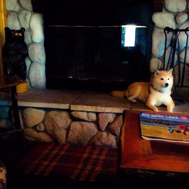 卡瓦哈尔绝境救主，压力之下绽放的钢铁意志