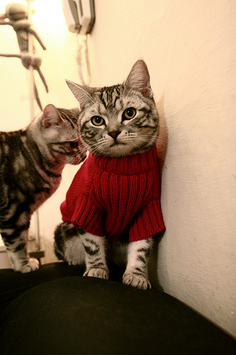 仙人掌突刺东欧堡垒，当基米希成为衡量胜负的隐形标尺