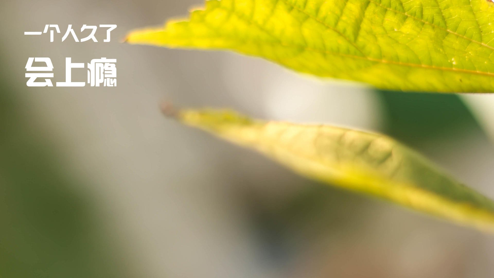 定调者，杜兰特如何用一剑封喉让热火轻取勇士