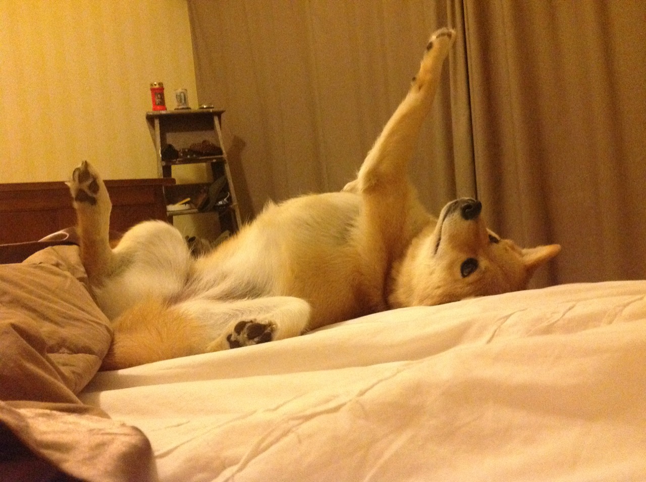 卡瓦哈尔制胜一击，阿森纳惊险击败英格兰国家队