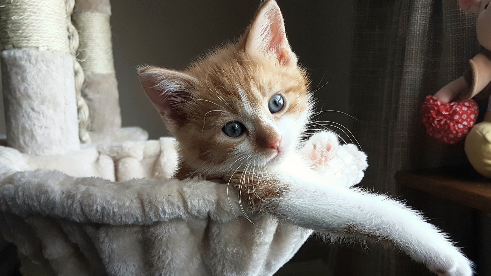 F1新赛季平稳起跑，马刺团队篮球稳稳压制鹈鹕