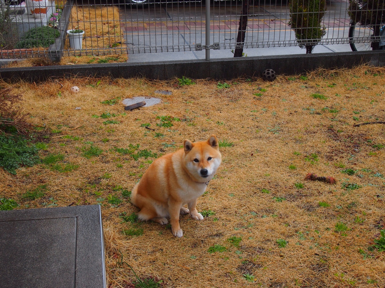 冰与火之歌，恩比德的狂飙与吉林队的铁壁—当个人英雄主义遭遇集体信仰