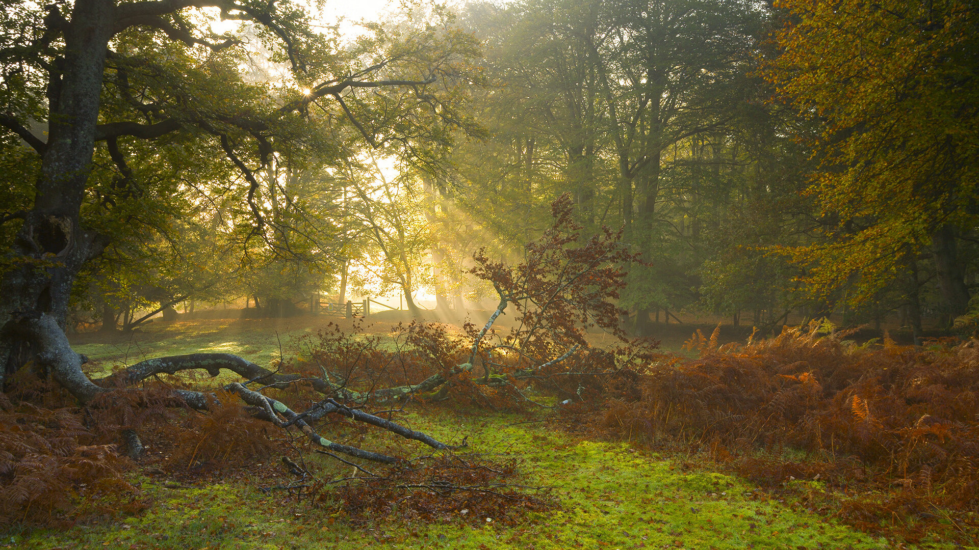 高光与鏖战，迪巴拉魔法点亮罗马，瑞典铁血撼动亚特兰大