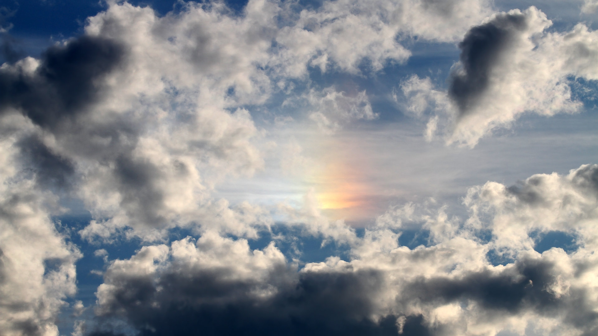 意甲焦点战之夜,厄德高成为全场焦点