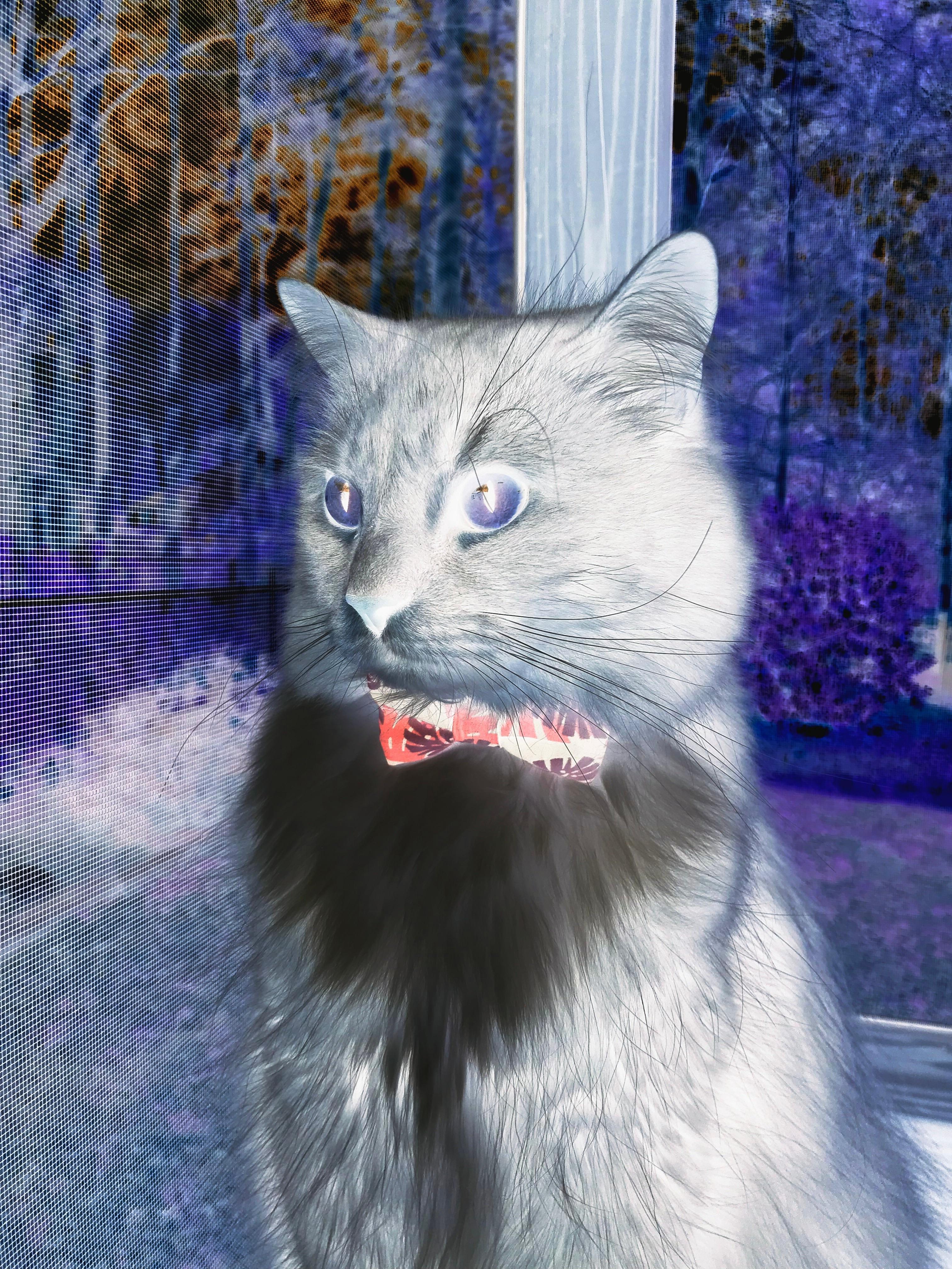 破局的孤勇，斯通斯如何以一刀流艺术，开启突尼斯的战略征途