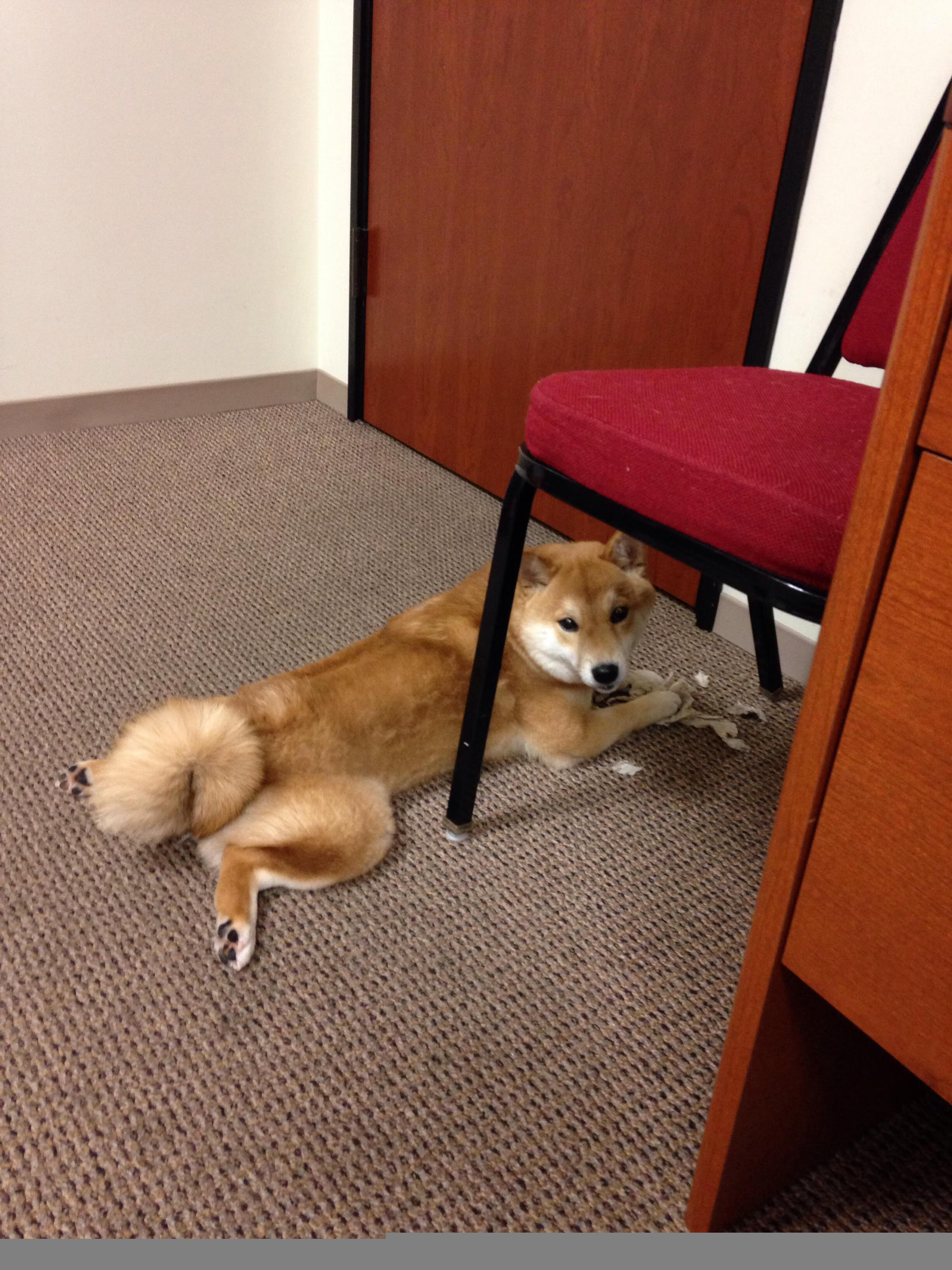 灼热的巨星与冷冽的沙场，足球世界里的冰火辩证法