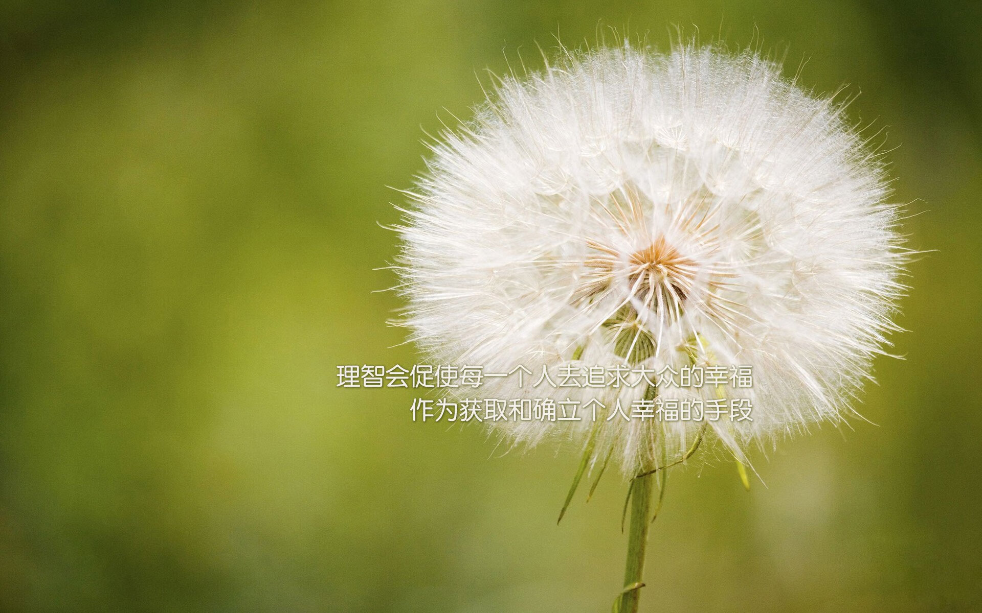 绝境硬仗见真章！范弗利特化身关键先生率奇才险胜开拓者